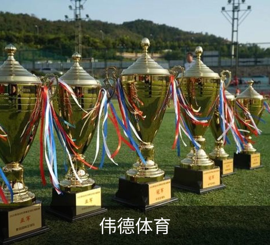 伟德体育概况